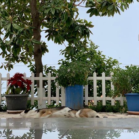 Holiday Home Ali Piqeras 外观 照片