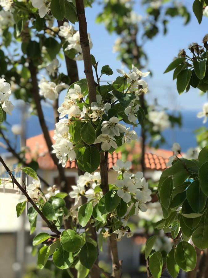 Holiday Home Ali Piqeras 外观 照片