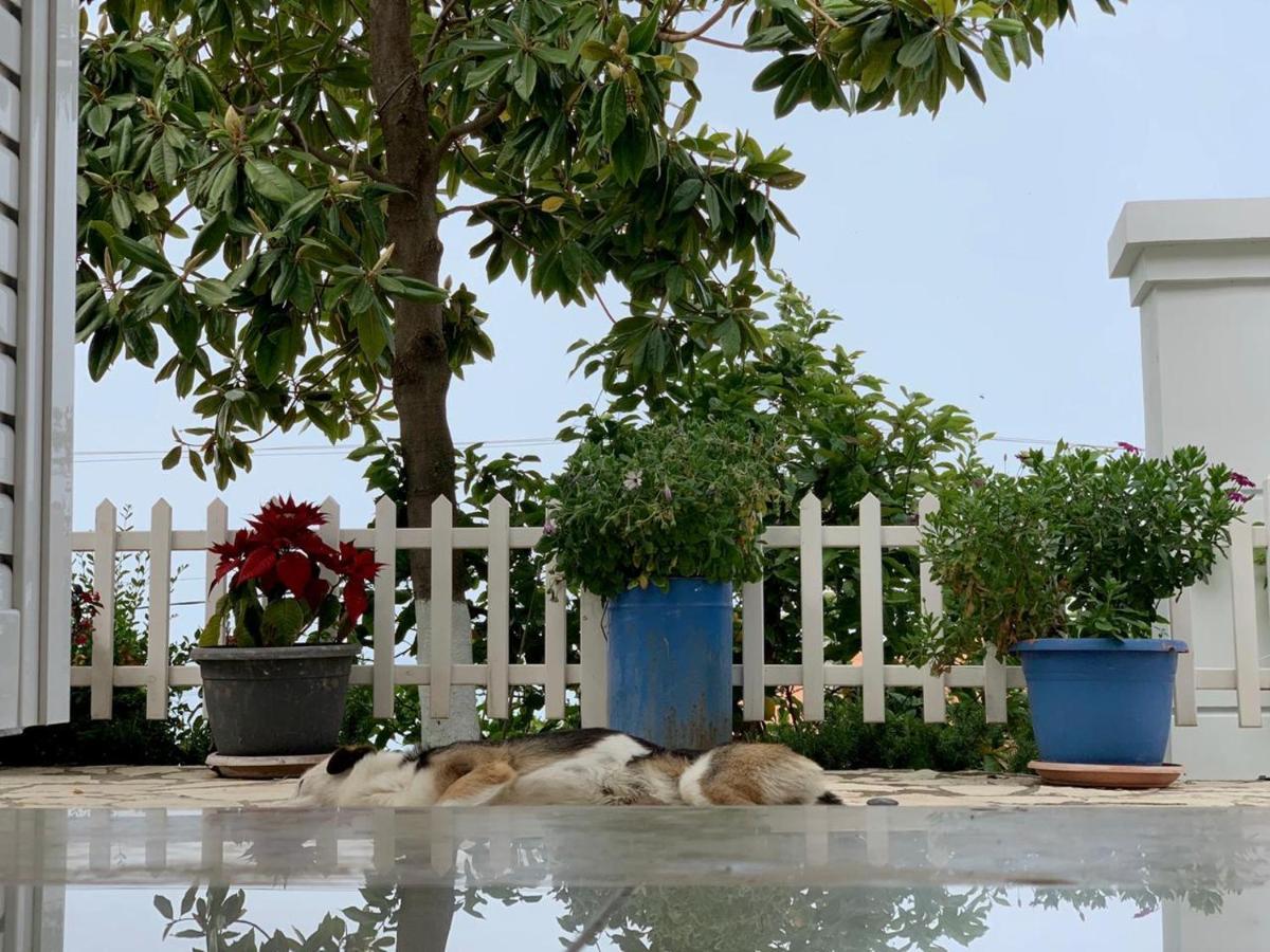 Holiday Home Ali Piqeras 外观 照片